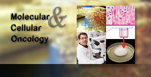 Molecular & Cellular Oncology